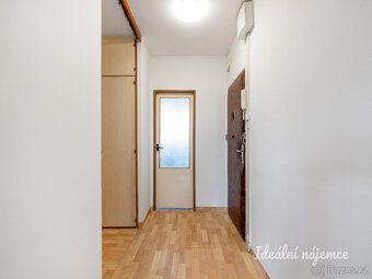 Nabízíme k dlouhodobému podnájmu světlý a prostorný byt o di