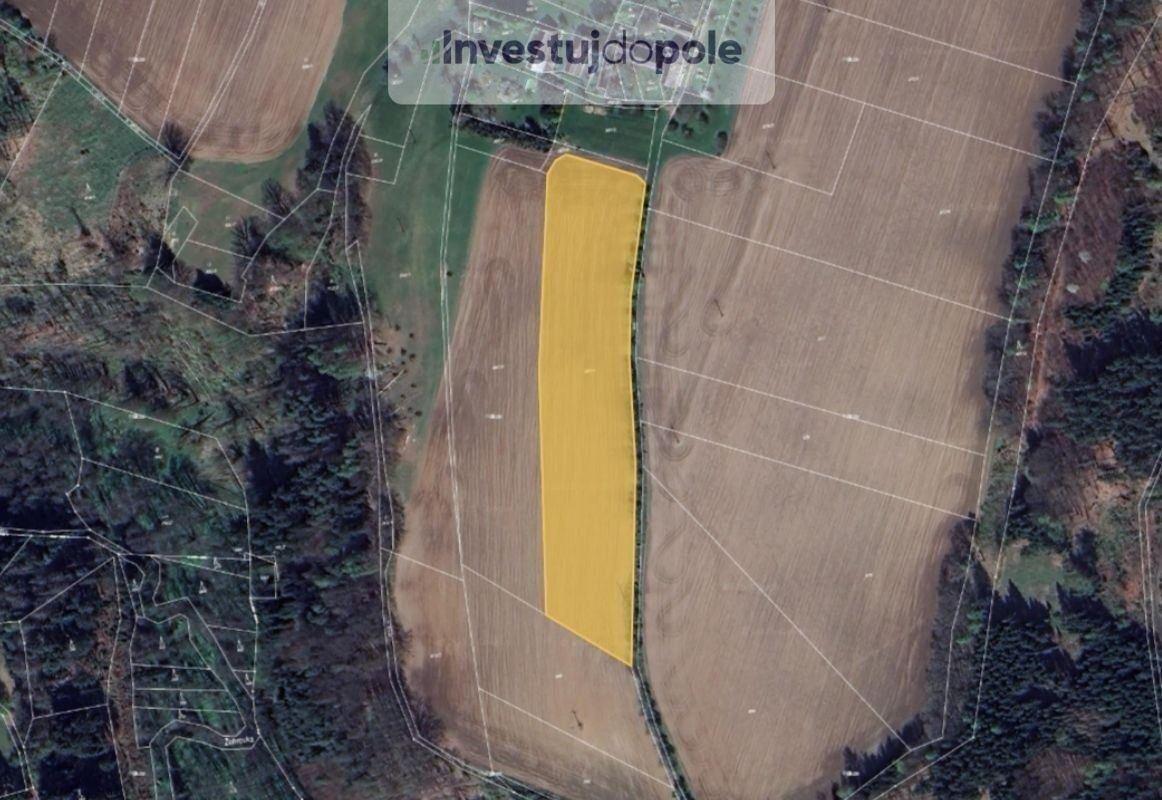 Ev.č. 2025-06-02-13 Již 10 let jsme vaše pravá ruka přes inv