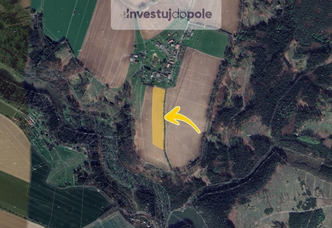 Ev.č. 2025-06-02-13 Již 10 let jsme vaše pravá ruka přes inv