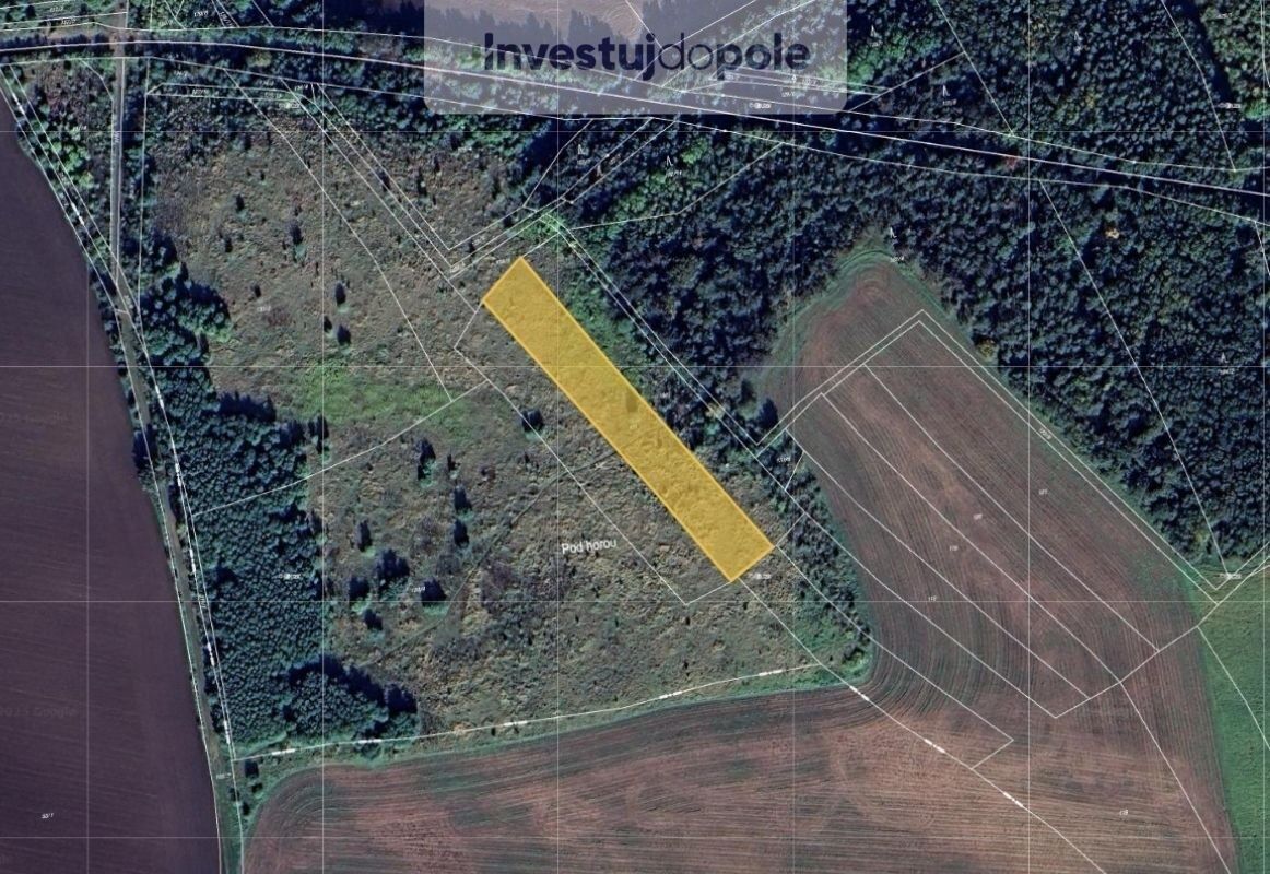 Ev.č. 2025-05-28-1 Již 10 let jsme vaše pravá ruka přes inve
