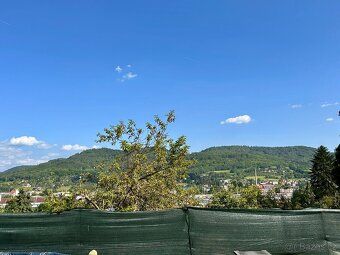 Prodám krásnou zahradu 488 m2 v OV. Děčín,centr ,U pivovaru!