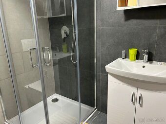 K pronájmu útulný a kompletně zařízený byt 1+kk o velikosti 