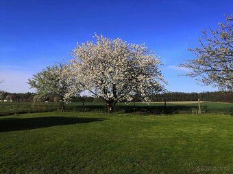 Prodej rodinného domu 194 m², pozemek 1345 m, Horka - Hlína,