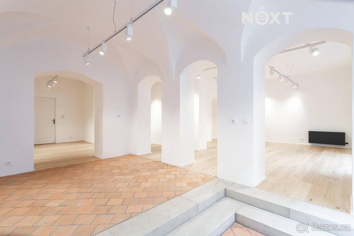 Nabízíme k pronájmu luxusní prostory pro komerční využití 97