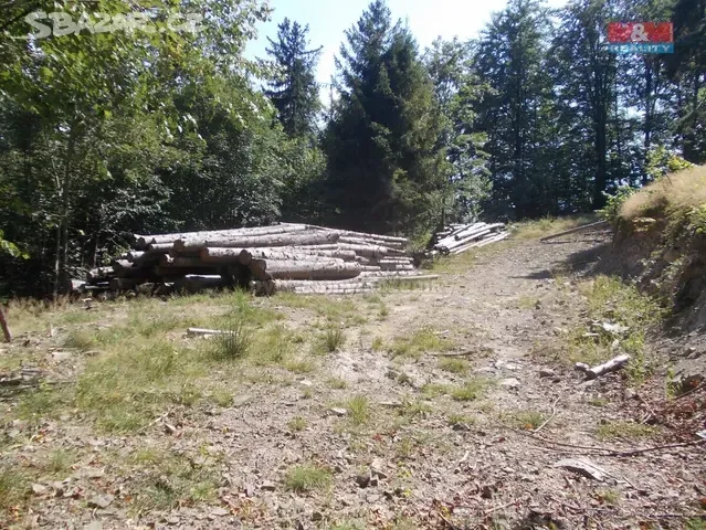 Prodam nebo vymenim stavebni pozemek se zahradou a lesem na 