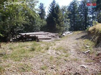 Prodam nebo vymenim stavebni pozemek se zahradou a lesem na 