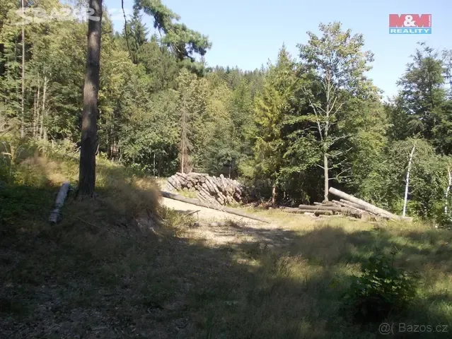 Prodam nebo vymenim stavebni pozemek se zahradou a lesem na 