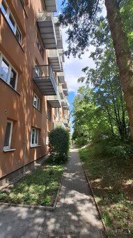 Pronajmu částečně zařízený byt 2+1 s balkonem do parku v Brn