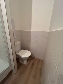 Nabízím k pronájmu útulný 1+kk byt o rozloze 19 m², situovan