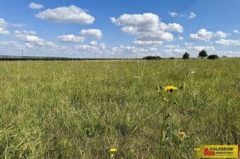 Prodám pozemek na Výrovické přehradě. Pozemek o velikosti 23