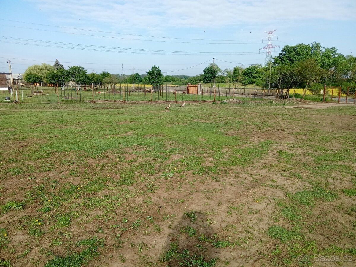 PRODEJ POZEMKU – 5 734 m² Nabízím k prodeji pozemek o výměře