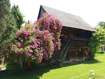 Prodáme dům v klidné obci mezi lesy a poli, Plzeň 25km, Bero