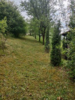 🌳 Prodej zahrady / sadu 1 872 m² – Soběchleby, okres Přerov 
