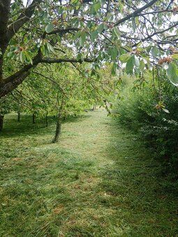 🌳 Prodej zahrady / sadu 1 872 m² – Soběchleby, okres Přerov 