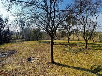 🌲 Prodej zděné chaty na samotě – Vítonice 🏡 Klid, příroda a 
