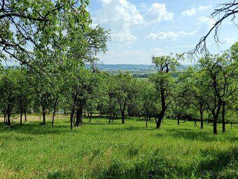 Nabízíme k prodeji rozsáhlou zahradu o ploše 3 492 m², situo