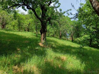 Nabízíme k prodeji rozsáhlou zahradu o ploše 3 492 m², situo