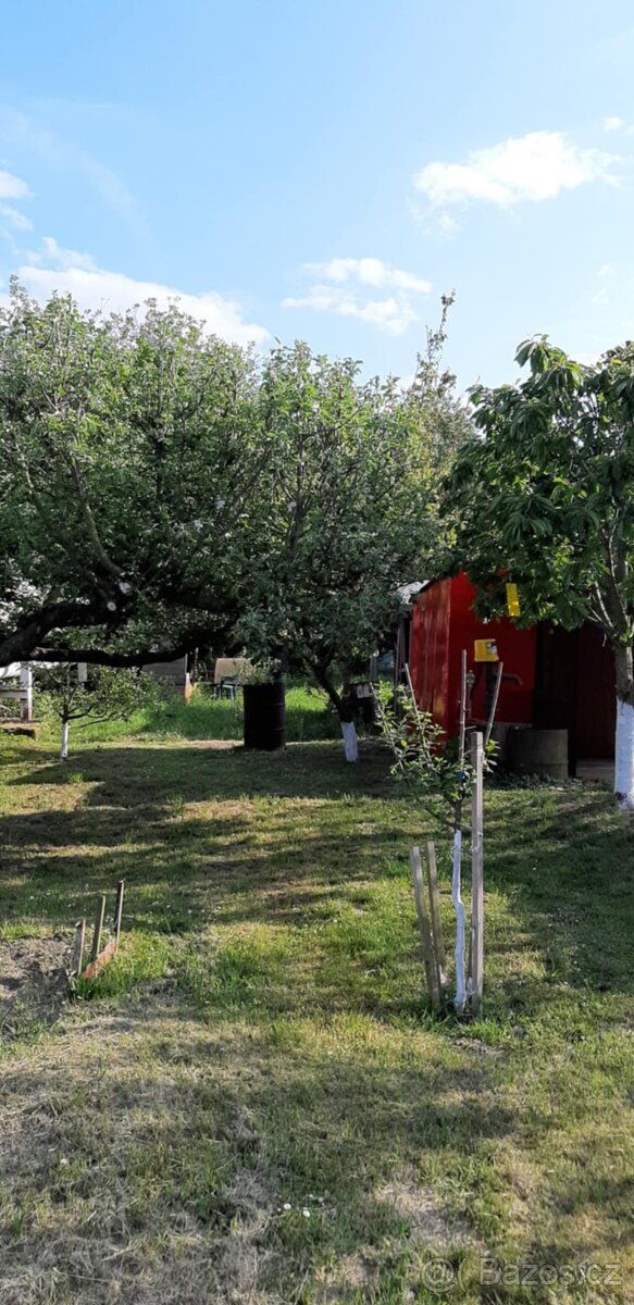 Prodám zahradu v Napajedlích 800m2.Pergola,ovocné stromy, st