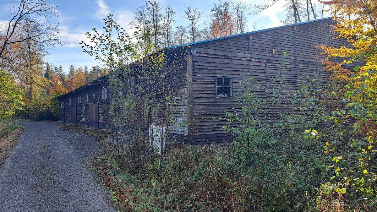 Hala k pronájmu, Mikulovice, 650m2 Nová střecha, elektřina, 