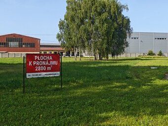Nabízím k dlouhodobému pronájmu zatravněný pozemek o rozloze