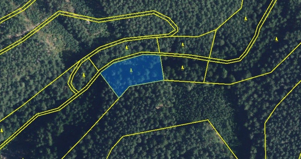Nabízíme Vám ke koupi lesní pozemek o výměře 5 021 m² v kata