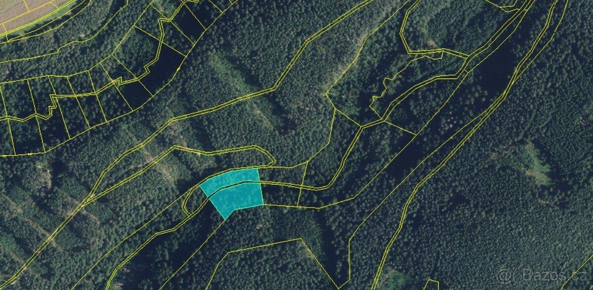 Nabízíme Vám ke koupi lesní pozemek o výměře 5 021 m² v kata