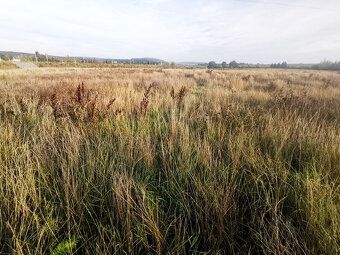 Nabízíme stavební pozemek o rozloze 1 513 m2 v Plzni, katast