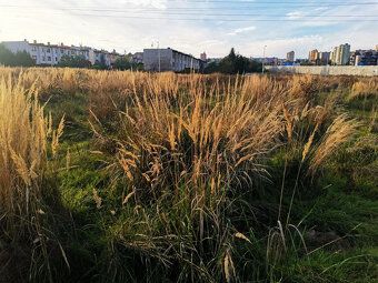 Nabízíme stavební pozemek o rozloze 1 513 m2 v Plzni, katast