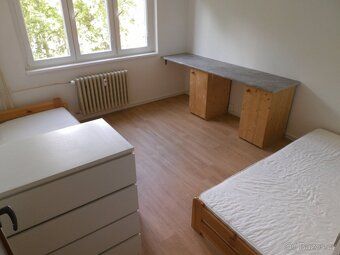 Pronajmu studentský neprůchozí 2 lůžkový pokoj v bytě 2+1, 3
