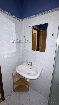 Nabízím k pronájmu vybavený byt na Andělu 1+1 v bytovém domě