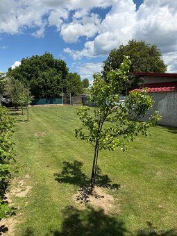 Prodej Rodinný dum , 140m², Voděrady - o dispozici 6+1 v cen