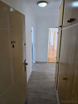 Pronajmu garsonku (vybavená) v Chlumu u Třeboně sídliště F. 