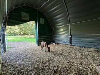 Pozemek 13.969 m2 s hospodářstvím Prodáme udržovaný pozemek 