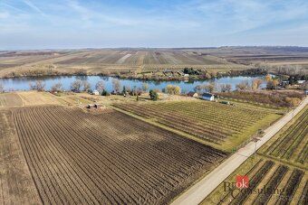 Prodej, pozemky/vinice/sady, 2791 m2, Velké Bílovice , Břecl