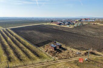 Prodej, pozemky/vinice/sady, 2791 m2, Velké Bílovice , Břecl
