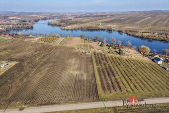 Prodej, pozemky/vinice/sady, 2791 m2, Velké Bílovice , Břecl
