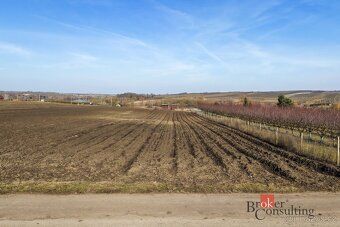 Prodej, pozemky/vinice/sady, 2791 m2, Velké Bílovice , Břecl