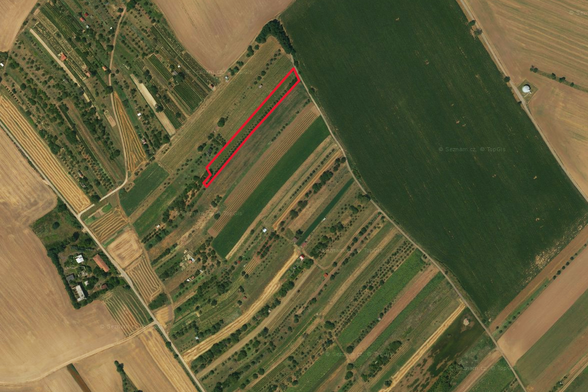 Nabízím k prodeji pozemek o celkové výměře 3 501 m² ve vinař