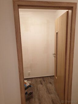 Pronajmu velmi pěkný byt 1+kk se šatnou /cca 54 m. čtv./ - p