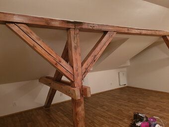 Pronajmu velmi pěkný byt 1+kk se šatnou /cca 54 m. čtv./ - p