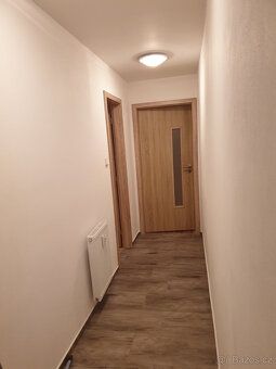 Pronajmu velmi pěkný byt 1+kk se šatnou /cca 54 m. čtv./ - p