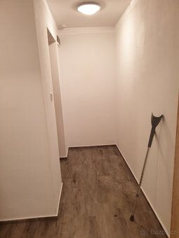 Pronajmu velmi pěkný byt 1+kk se šatnou /cca 54 m. čtv./ - p
