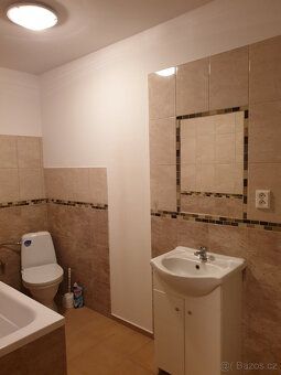 Pronajmu velmi pěkný byt 1+kk se šatnou /cca 54 m. čtv./ - p