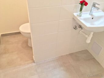 Podnájem bytu v osobním vlastnictví o velikosti 1+1 38 m2 na