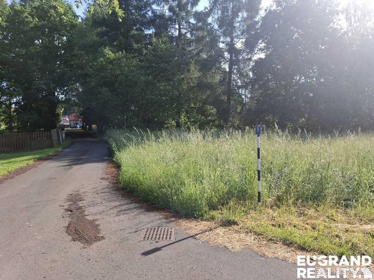 Ev.č. 06025 Pozemek 2 102 m² – Filipov u Jiříkova, p. č. 513
