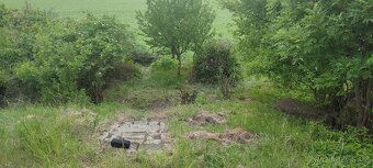 Nabízím k prodeji pozemek parc. č. 2971 v k. ú. Vrbovec o ce