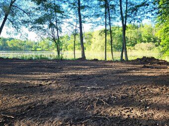 pronajmu pozemek 1000 m2 mezi rybníky. Vhodné pro milovníky 