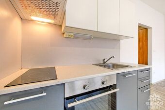 Nabízíme pronájem bytu 1+kk, 28 m²,Břeclav, Růžičkova Naše r