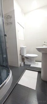 Nabízím k pronájmu světlý, částečně zařízený byt o dispozicí