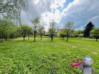 Prodám pozemek ve Zlatých Horách - k.ú. Horní údolí parcelní